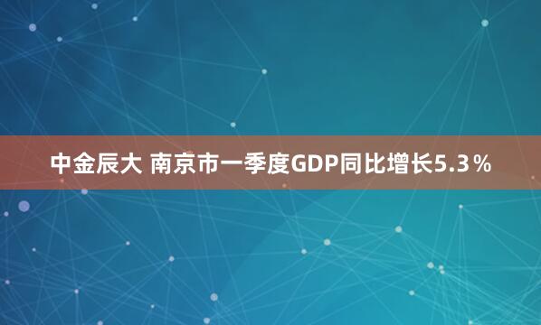 中金辰大 南京市一季度GDP同比增长5.3％