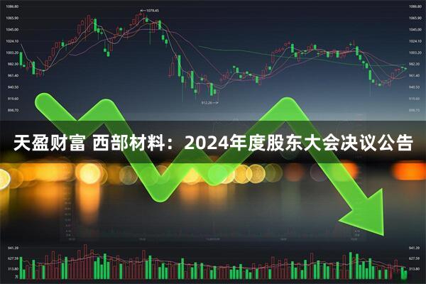 天盈财富 西部材料：2024年度股东大会决议公告