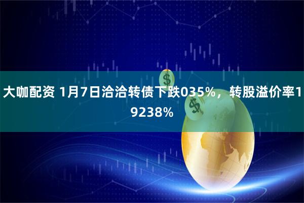 大咖配资 1月7日洽洽转债下跌035%，转股溢价率19238%
