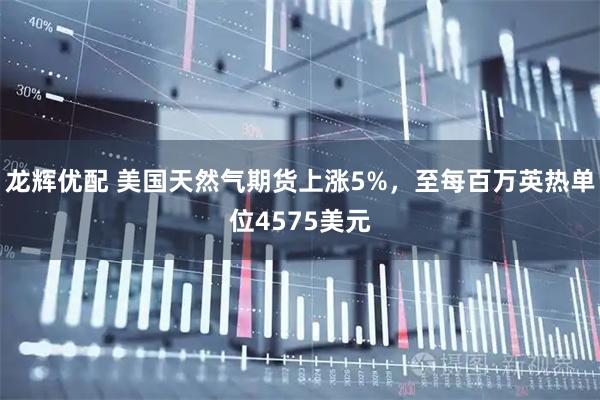 龙辉优配 美国天然气期货上涨5%，至每百万英热单位4575美元