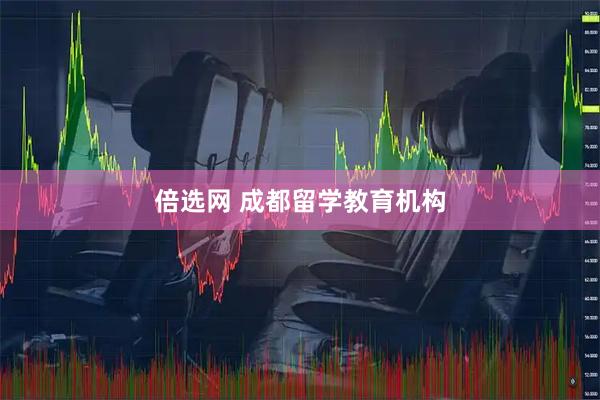 倍选网 成都留学教育机构